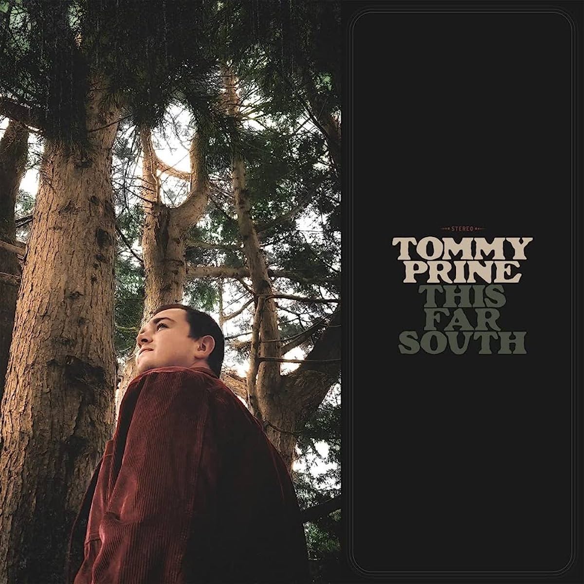 Stream Tommy Loop music  Listen to songs, albums, playlists for